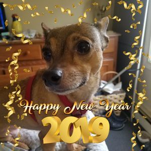 Meet your Posher, Kay